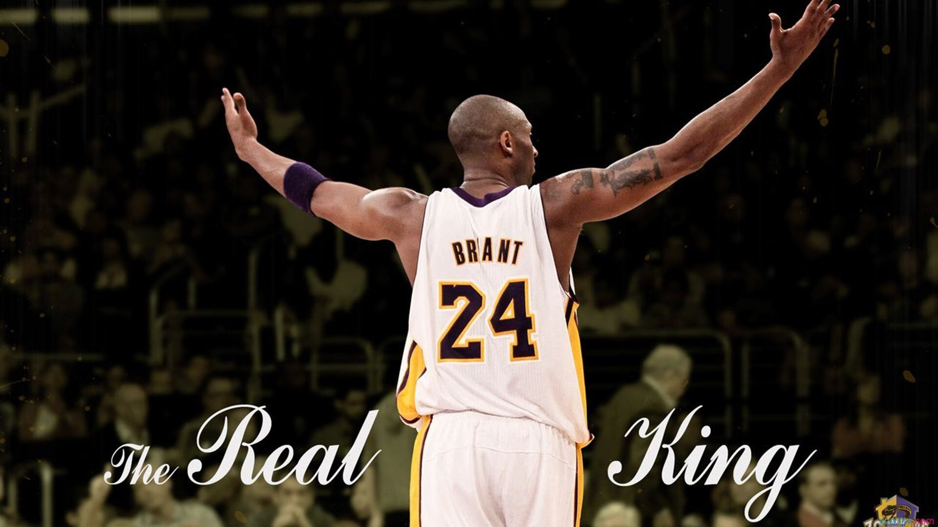 德罗赞一剑封喉！关键时刻的冷血杀手，让广东队尝到绝望滋味